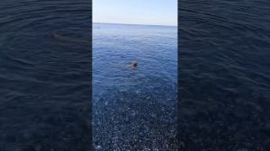 фильм часть 13 хорошое море