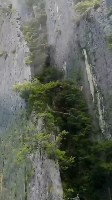 Национальный парк Улипо, Китай