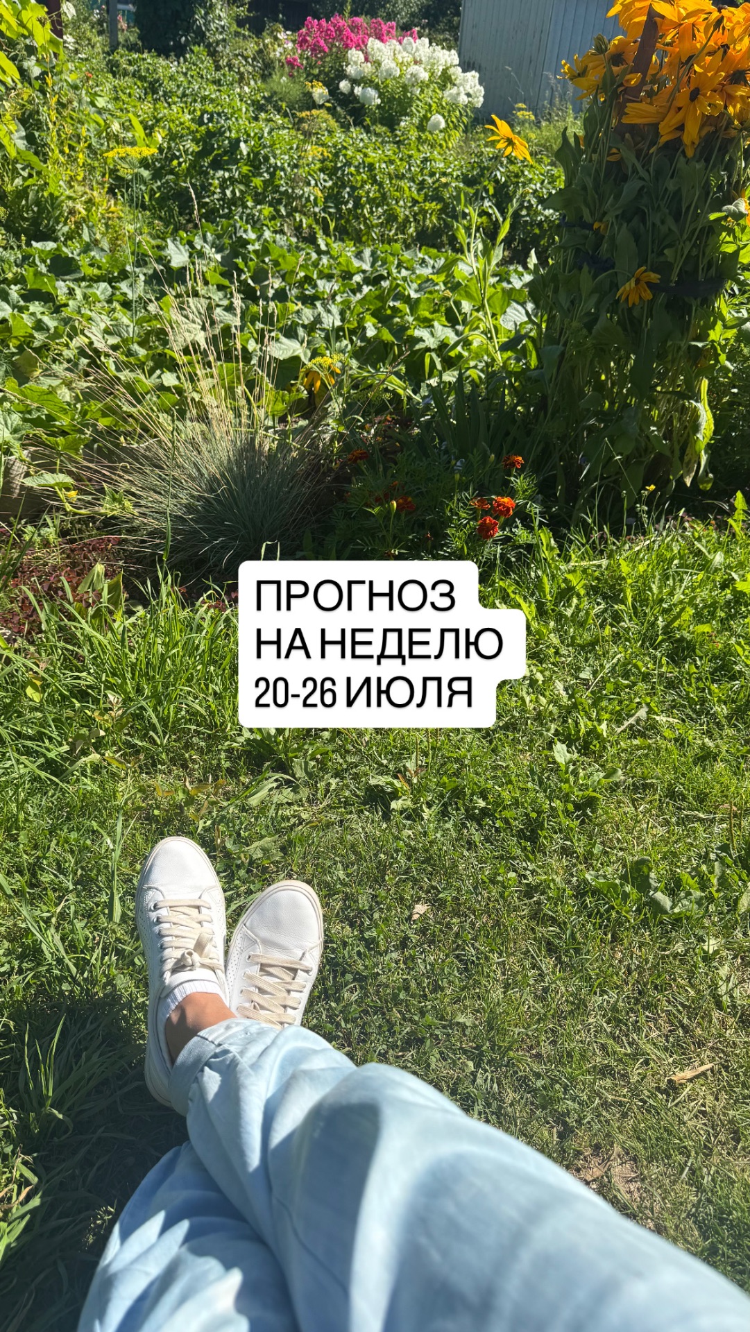 Прогноз на неделю 20-26 июля
