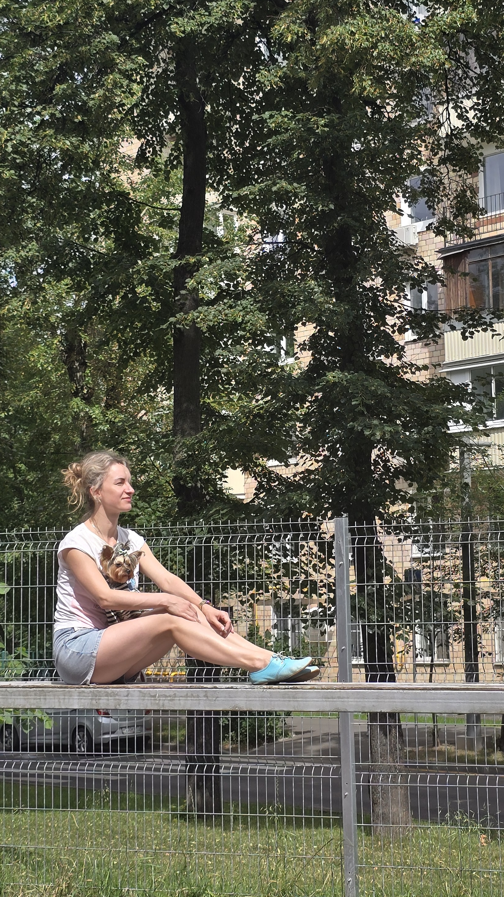 🏰🐶 Плюша в тридевятом царстве #shorts