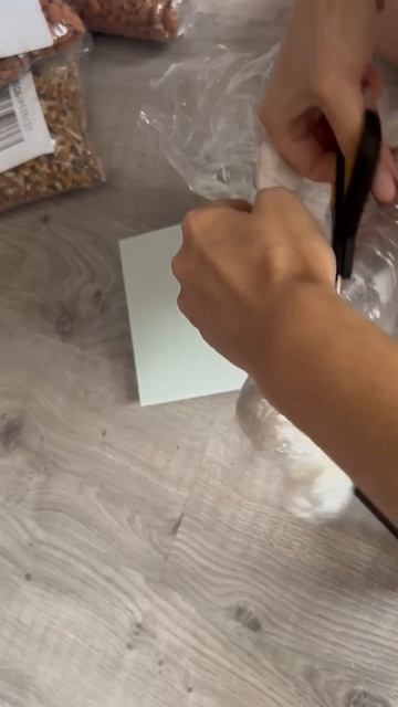 85008.mp4