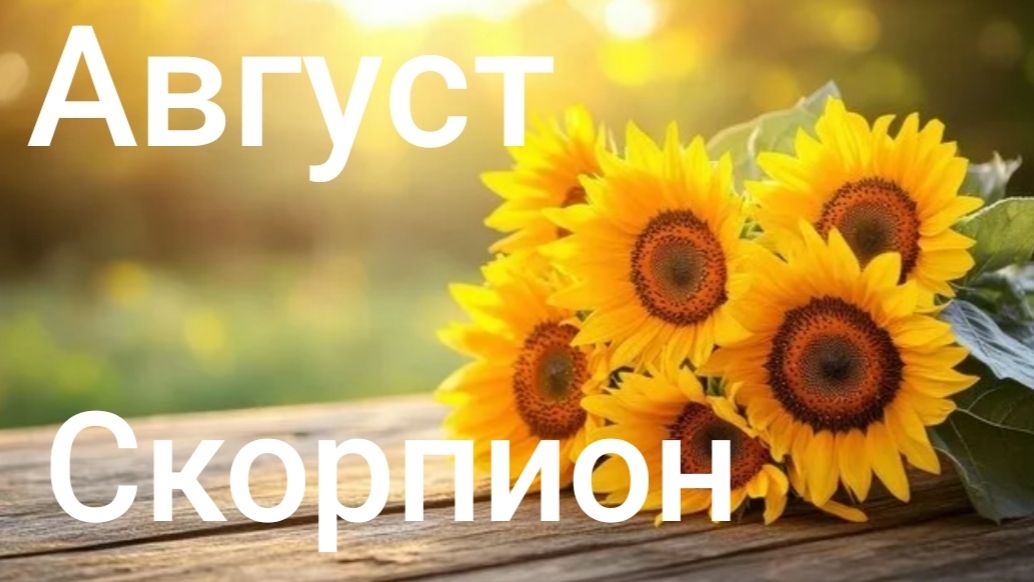 Таро расклад для Скорпионов на август 2026 года