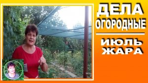 Работы в огороде в июле: что обязательно нужно сделать для большого урожая