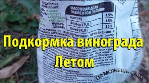 Подкормка винограда Летом