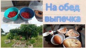 Приехали в 🚘Пыталово.Собираем вишню 🍒