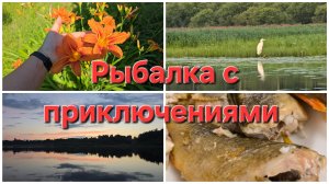 19-07-2026 Ещё поработали и рыбалка с приключениями.