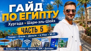 Гайд по Египту часть 5 - 37 советов которые спасут отпуск и деньги