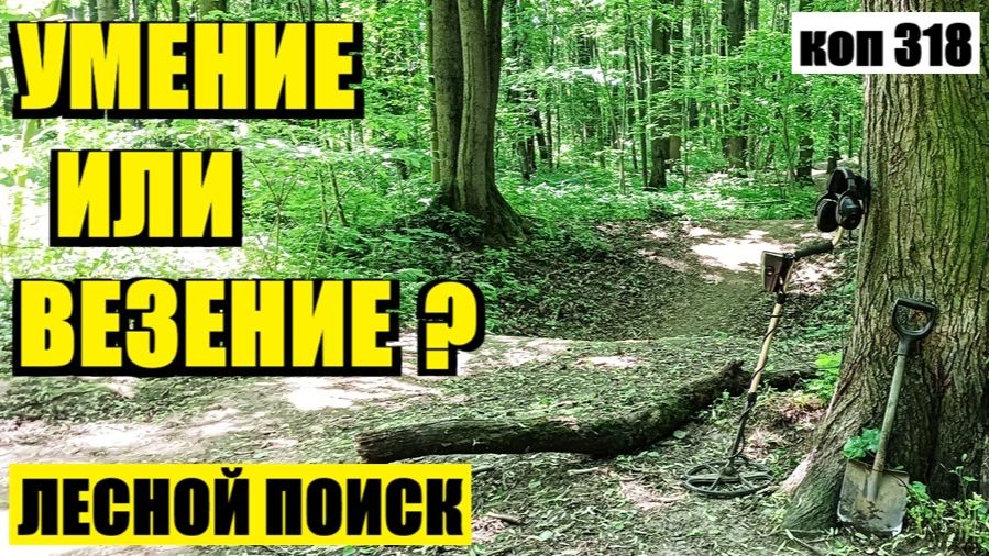 КОГДА ВЕСЬ ЛЕС УПОРНО МОЛЧАЛ, А ОДНА УЗКАЯ ДОРОЖКА ИЗМЕНИЛА РЕЗУЛЬТАТ ПОИСКА!. коп 318 смотреть онлайн