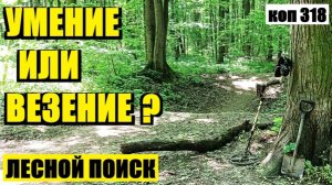 КОГДА ВЕСЬ ЛЕС УПОРНО МОЛЧАЛ, А ОДНА УЗКАЯ ДОРОЖКА ИЗМЕНИЛА РЕЗУЛЬТАТ ПОИСКА!.  коп 318