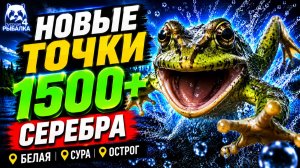 🤑 ТОП-3 ТОЧКИ для ФАРМА РР4 (20.07)! РР4 Фарм СЕРЕБРА в Русской Рыбалке 4! БЕЛАЯ • СУРА • ОСТРОГ