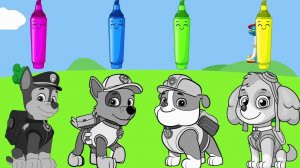 🐶Щенячий патруль |  Учим цвета | Изучаем цвета для детей с Чейзом и друзьями!