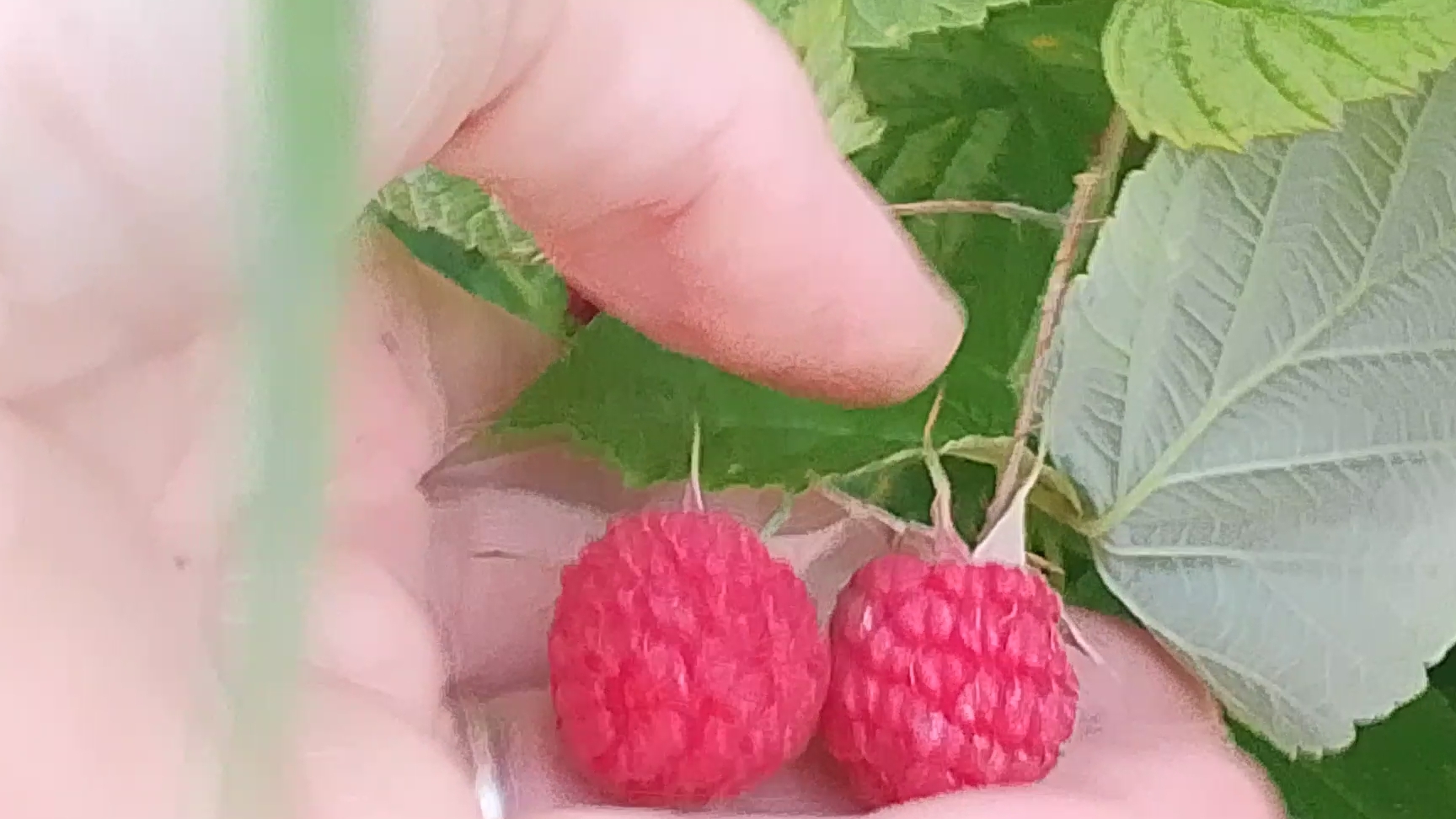 20-07-2026 Долгожданный выходной🌺🌺🌺Софочке 6 месяцев💖💖💖💖💖💖💖💖💖