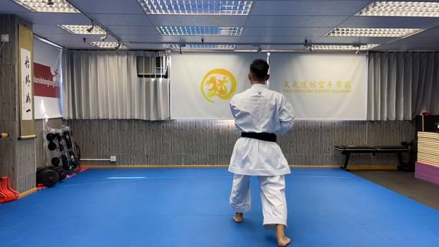 No79 Ryurei-ryu - Sanseiru劉衛流 三十六文武道館空手學苑 Man-Budokan Karate Academy смотреть онлайн