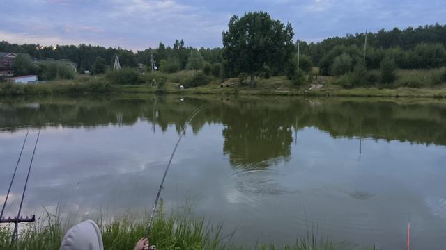 карп на верхнем