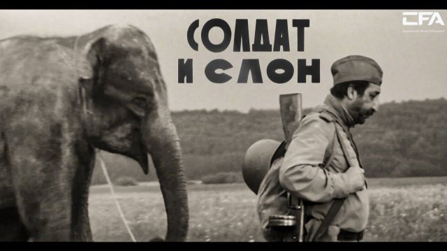 Солдат и слон (1977) — Армянский фильм | Фрунзик Мкртчян | Զինվորն ու փիղը / Zinvorn u pixy Солдат и слон (1977) — Армянский фильм | Фрунзик Мкртчян | Զինվորն ու փիղը / Zinvorn u pixy