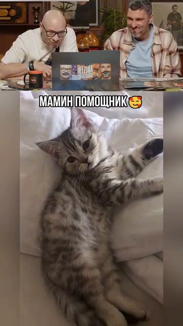 Мамин помощник