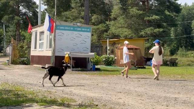 43232.mp4 смотреть онлайн