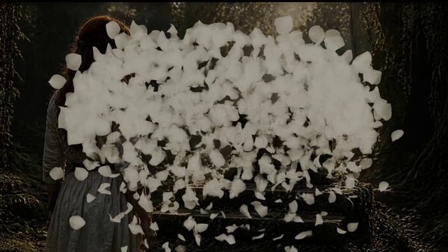 video_Ритмолог,  Искушение Христа, 317