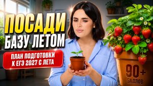 Что делать летом, если сдаешь ЕГЭ по обществознанию 2027? | Анастасия Малова | Умскул