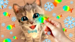 ПРИКЛЮЧЕНИЯ МАЛЕНЬКОГО КОТЕНКА