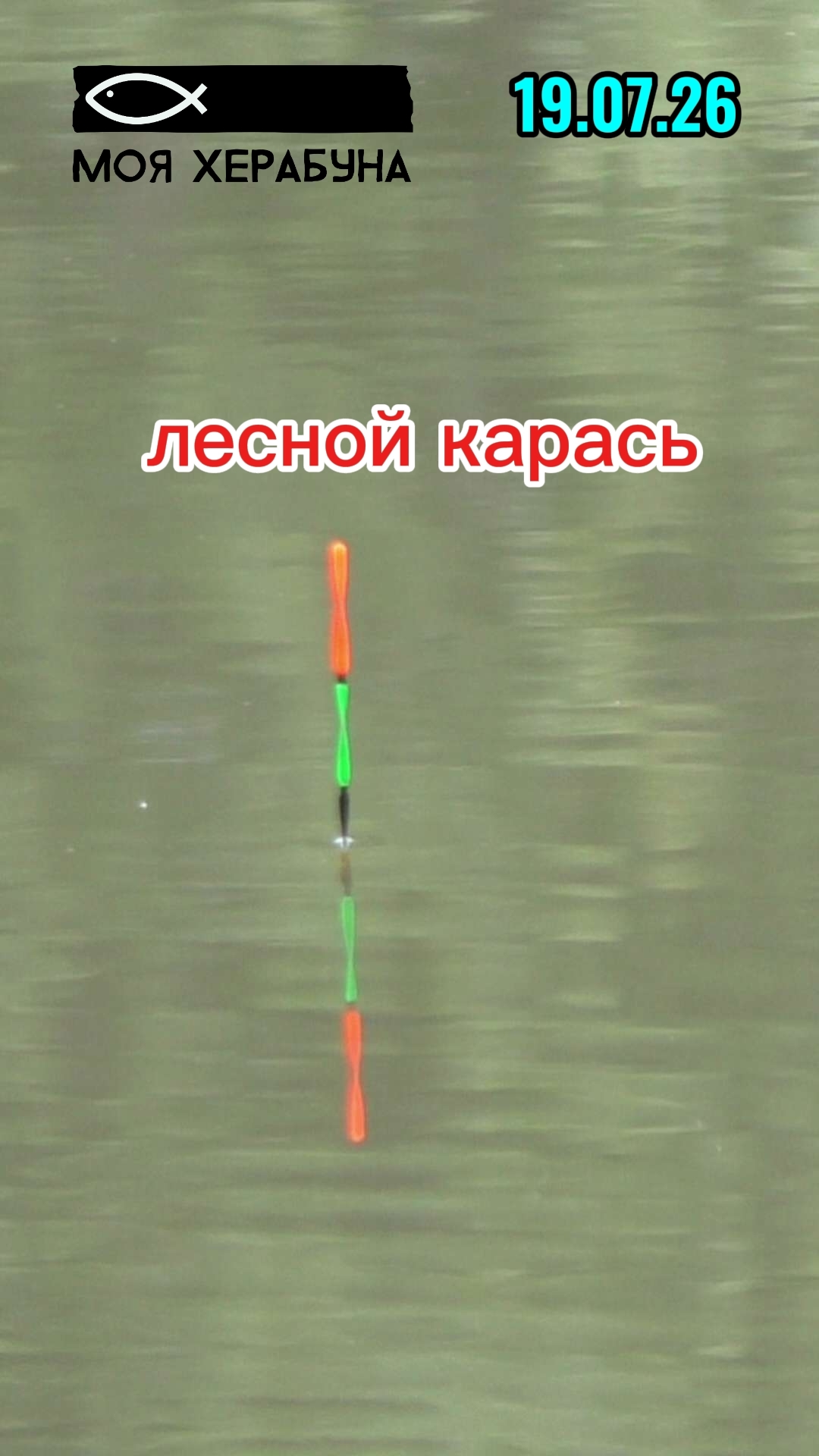 Херабуна. Лесной карась.