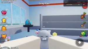 Очистите сквиши в ⬜ Roblox 🟦!