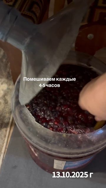 Делаем вино 2026-07-20 Урожай 2025 г