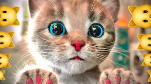 МИЛЫЙ МАЛЕНЬКИЙ КОТЕНОК ПРИКЛЮ