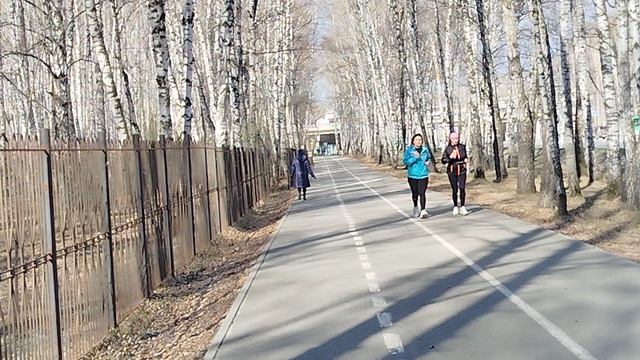 066 смотреть онлайн