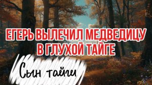 ЕГЕРЬ ЛЕЧИЛ МЕДВЕДИЦУ В ТАЙГЕ |таежные истории
