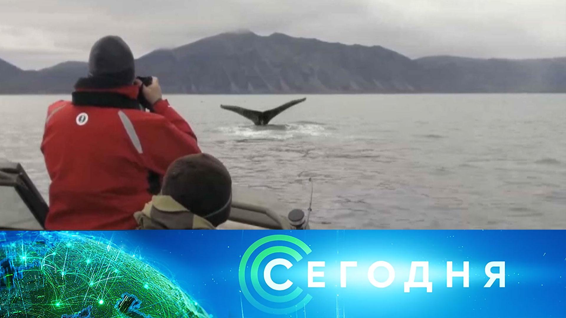 «Сегодня»: 20 июля 2026 года. 10:00 | Выпуск новостей | Новости НТВ смотреть онлайн