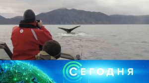 «Сегодня»: 20 июля 2026 года. 10:00 | Выпуск новостей | Новости НТВ