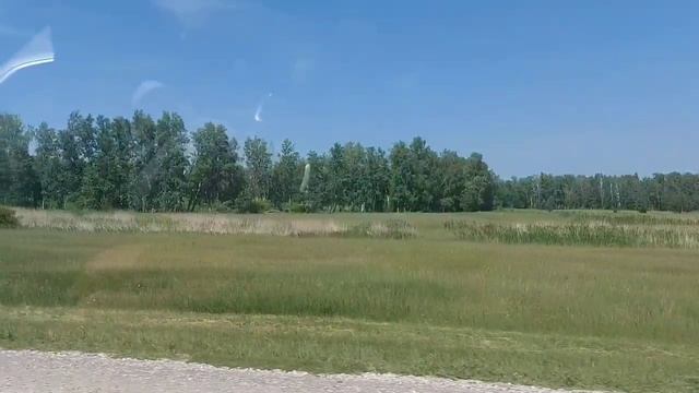 Самое начало. Переезд на машине с четырьмя кошками из Кемерово на юг. С ночёвкой в Омске. 1 часть.