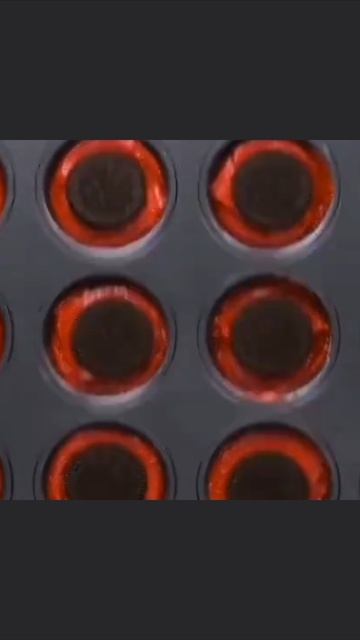 2026-07-20