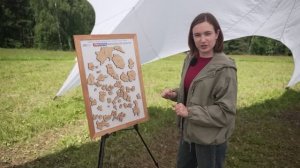 Экскурсия по Дегтярску и поход на Оленьи ручьи | «Навигатор» от 17.07.2026