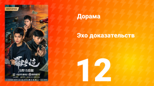 Эхо доказательств 12 серия