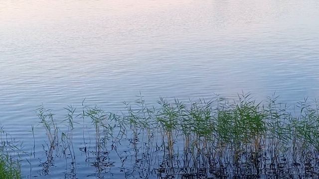 Вечером на закате ☀️⛅ смотреть онлайн