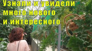 УЗНАЛИ И УВИДЕЛИ МНОГО НОВОГО/ БОТАНИЧЕСКИЙ САД В КИРОВСКЕ /14 июля 2026