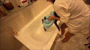 Новый влог с Дженни!