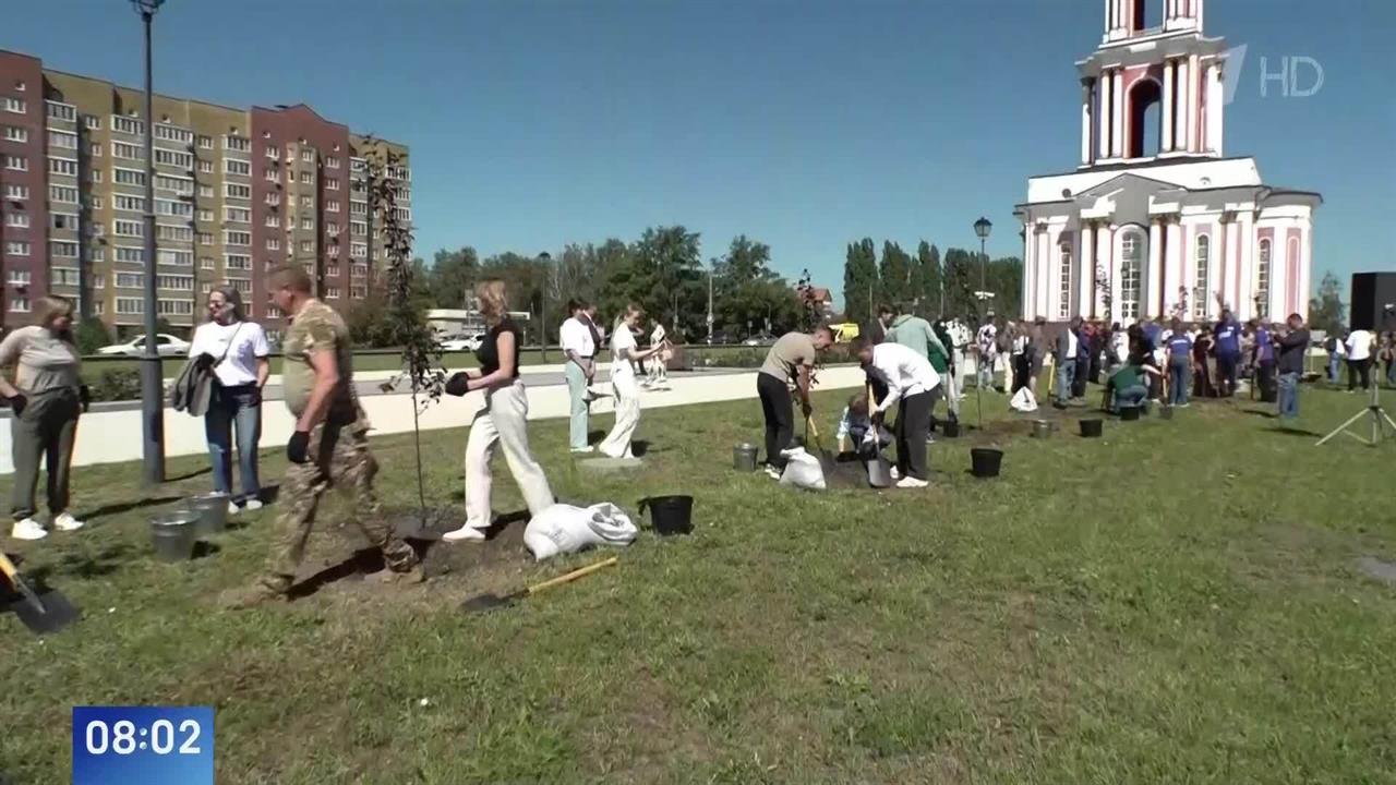 Аллея военкоров появилась в парке "Патриот" в Курске смотреть онлайн