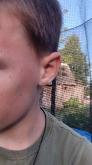 батут