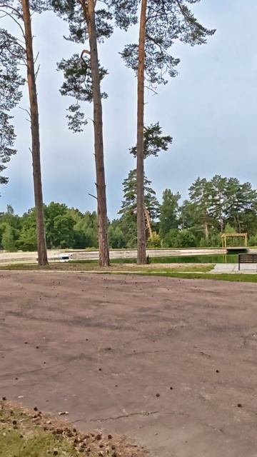 СЛАВЯНКА 🌊 БРЯНСК 🌊 ЖУКОВКА-ДОМ ОТДЫХА 400 км от Москвы