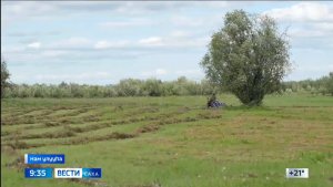 09:30 ВЕСТИ САХА 20/07/26 НА ЯКУТСКОМ ЯЗЫКЕ