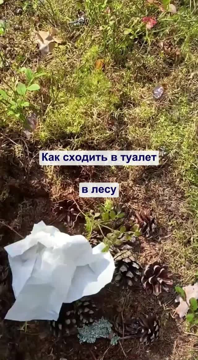 Как экологично сходить в туалет в лесу🧎♂️