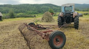 Домашка... Ласточки и сенокос.