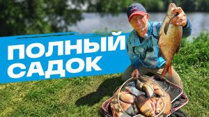 Как РАЗЛОВИТЬ ЛЕЩА на ОБЫЧНОЙ РЕКЕ