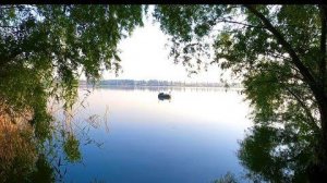 Карпы украли лодку!Что то пошло не так!Ловля на поплавок в камыше