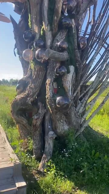 Арка на краю земли