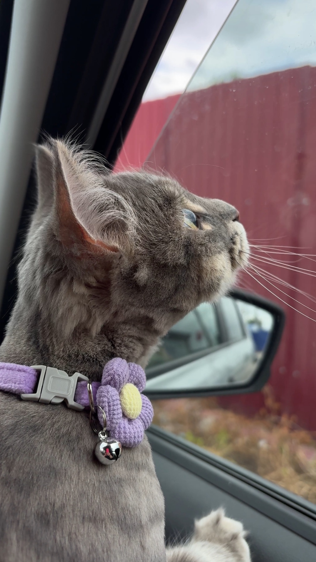 Наохотился 🐾