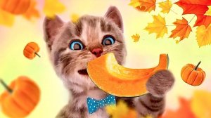 Развивающие игры Little Kitten